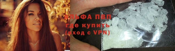 ПСИЛОЦИБИНОВЫЕ ГРИБЫ Баксан