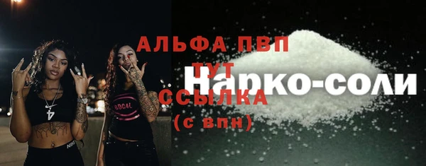 Альфа ПВП Няндома